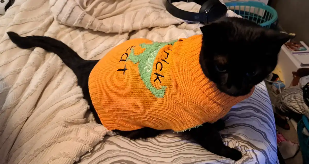 Who Wants to See My Void in a Spooky Halloween Sweater?