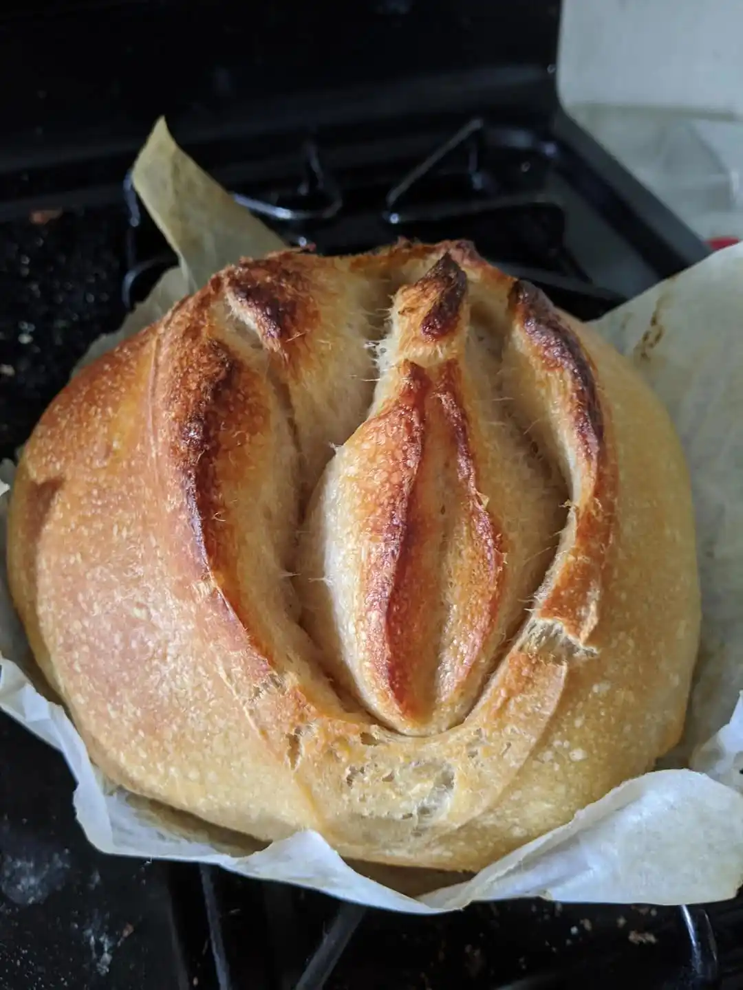 A round, golden-brown loaf of bread with a scored top sits on parchment paper atop a stovetop. The scoring creates a pattern…