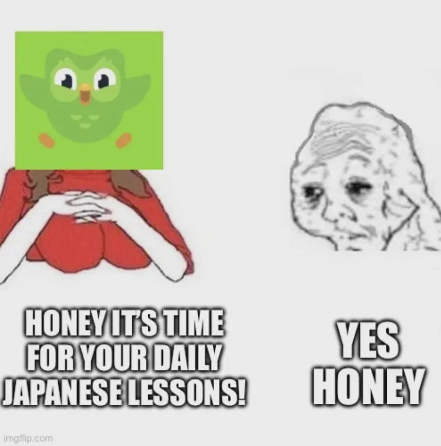 The image shows two panels: on the left, a cartoon owl (Duolingo mascot) with a red dress and clasped hands, with text…