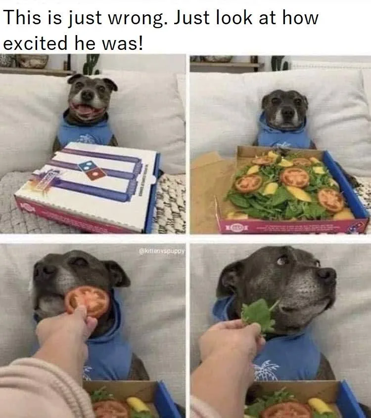 A four-panel meme shows a grey pit bull wearing a blue hoodie. In the first panel, the dog is excitedly staring at a closed…