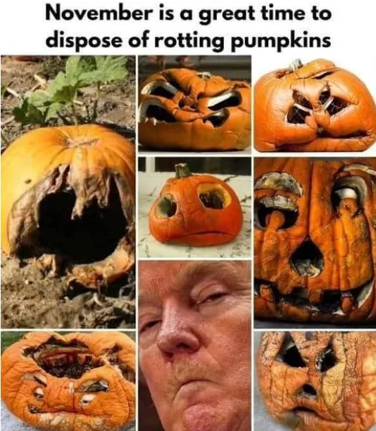 A collage of seven images: six show various decayed, rotten pumpkins with holes and shriveled skin, and one central image is…