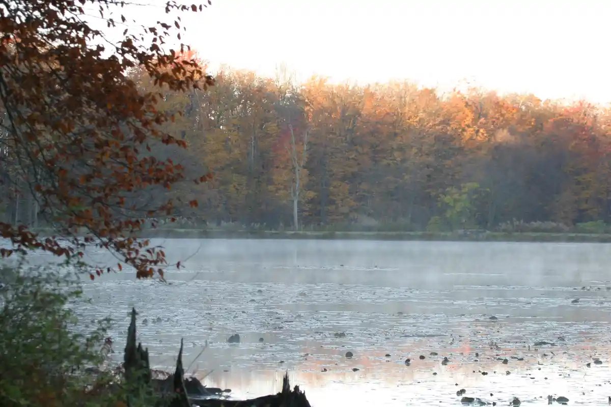 Put on Your Shoes, It's Time for Today's Nature Adventure!