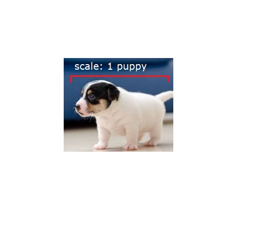 A small black-and-white puppy stands on a light floor against a dark blue background. Above the puppy, text reads 'scale: 1…