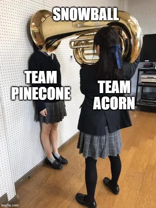 Cheering Loudly for Team Acorn!