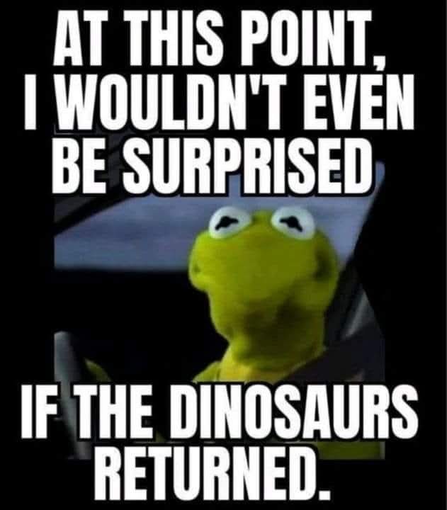 A still image of Kermit the Frog, looking upward with a weary, resigned expression while seated inside a vehicle. Large…