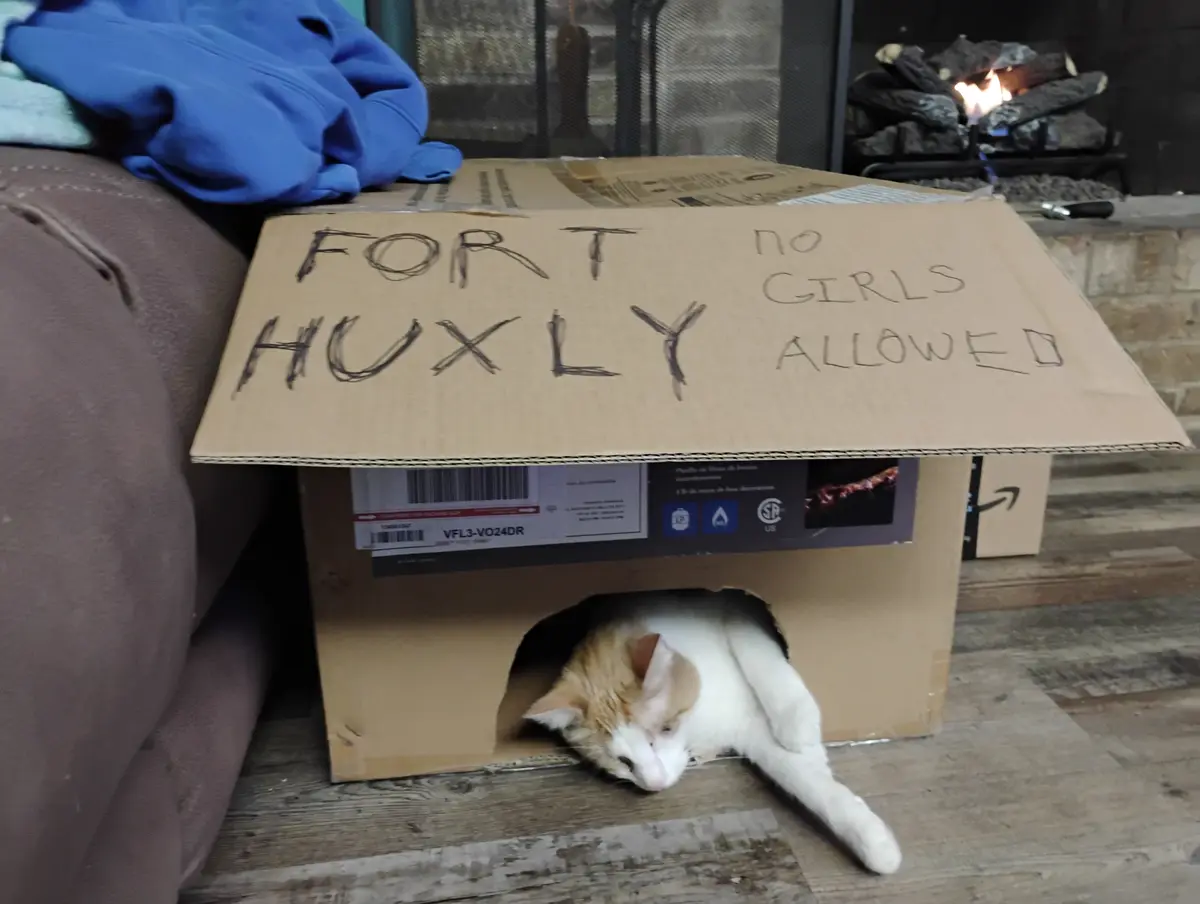 A white and orange cat is sleeping inside a cardboard box with a hole cut out for entry, positioned on a wooden floor next…