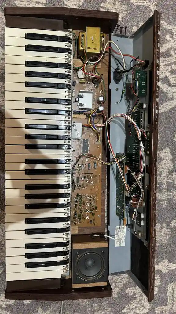 Complete Overview