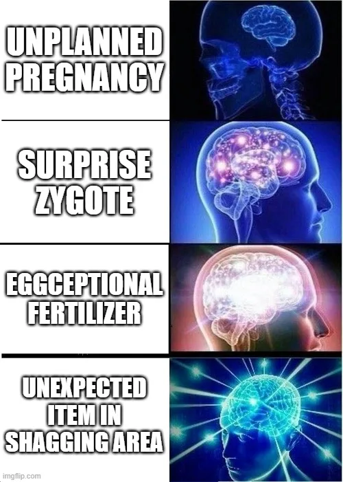 A four-panel meme shows a human head with a brain, starting with a plain brain, then glowing with activity, then intensely…