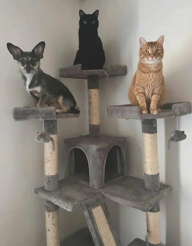 An Unexpected Twist Awaits