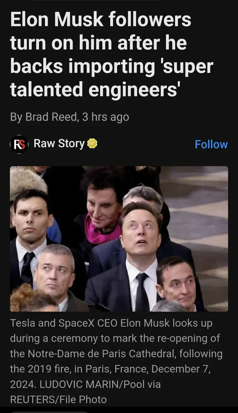 A screenshot of a news article from Raw Story with the headline 'Elon Musk followers turn on him after he backs importing…