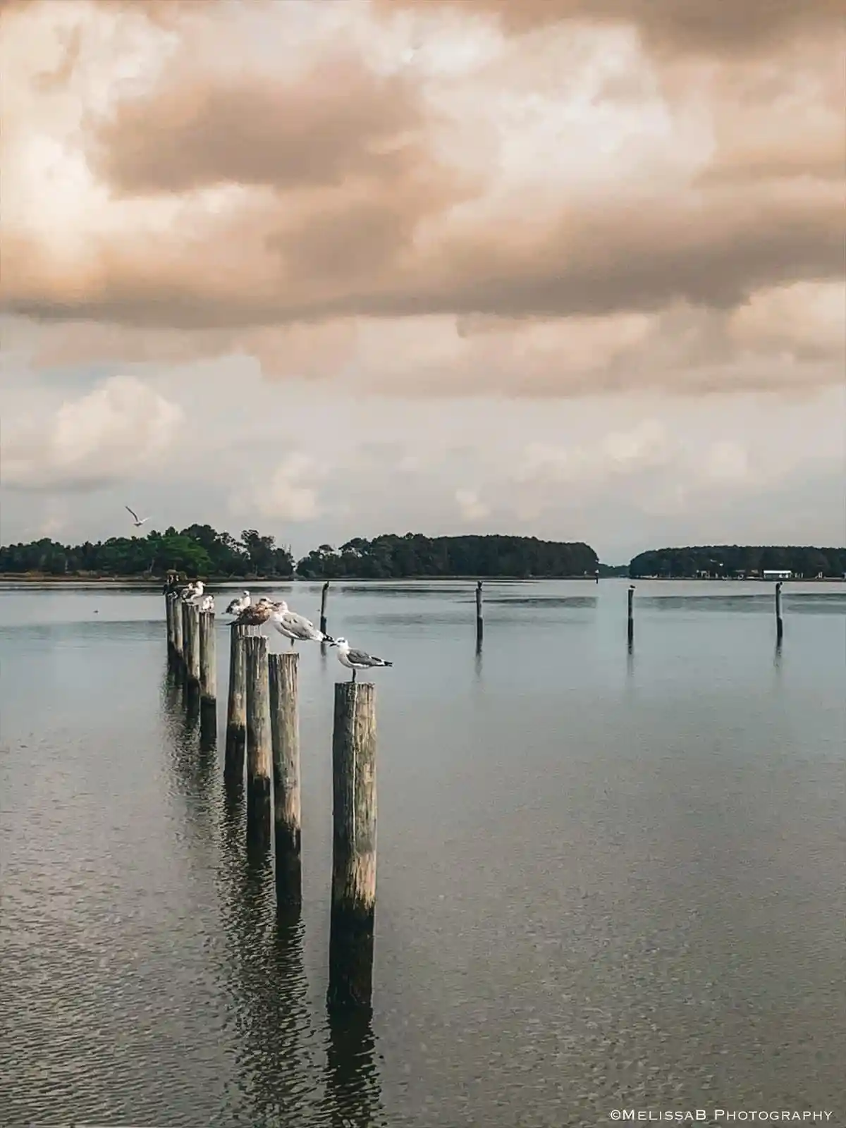 Taking a Break: The Art of Resting
