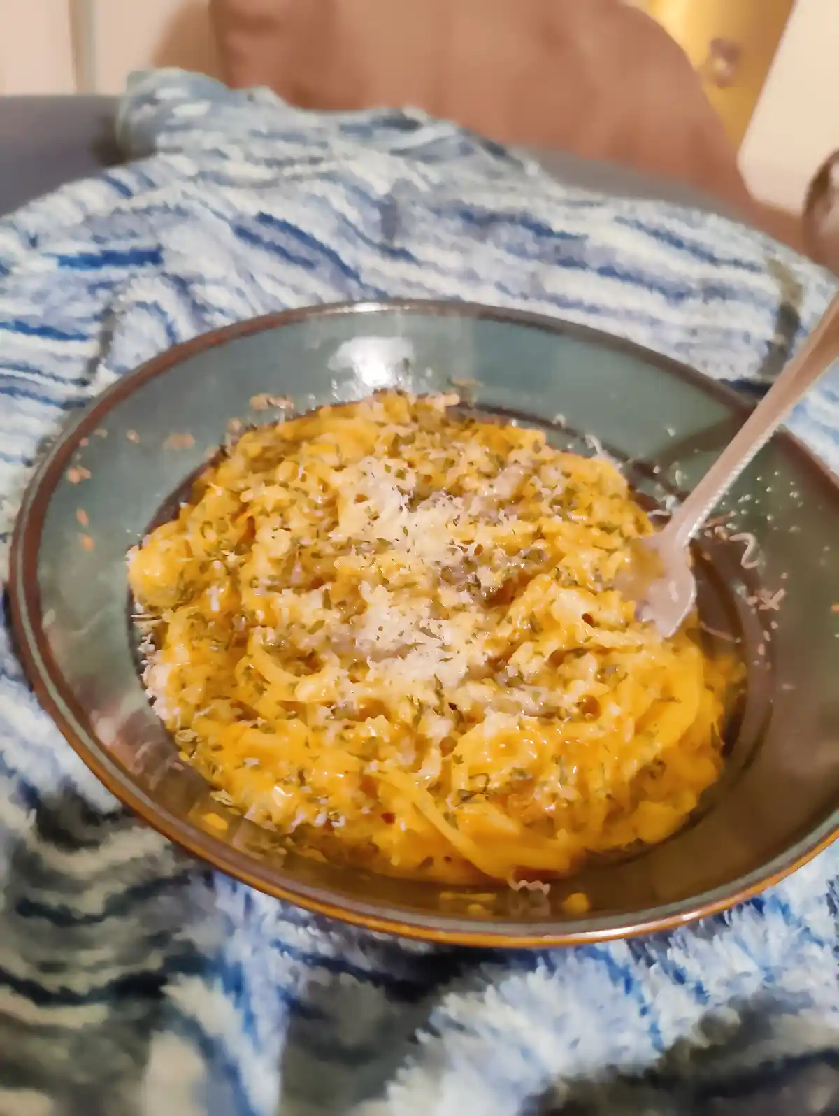A close-up photo shows a bowl of creamy pasta with cheese and herbs, resting on a blue and white patterned blanket. A spoon…