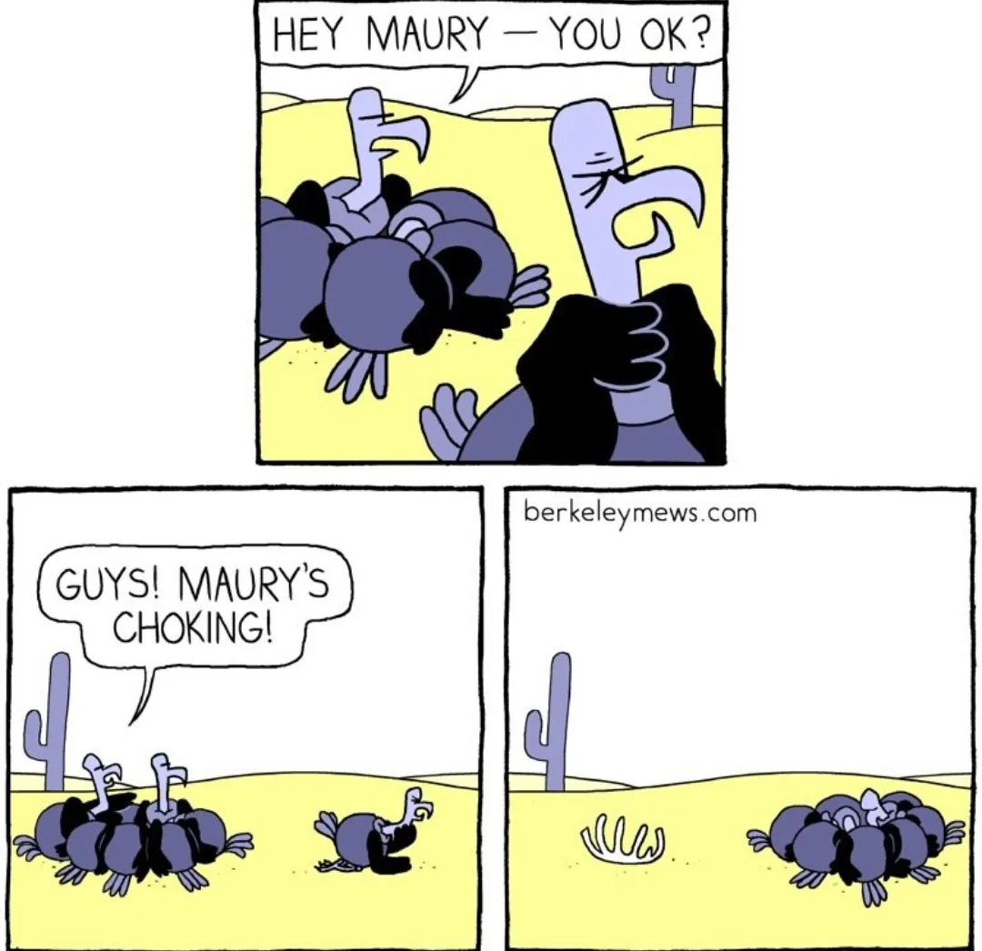 A three-panel comic strip shows cartoon vultures in a desert. In the first panel, one vulture asks another, 'HEY MAURY — YOU…