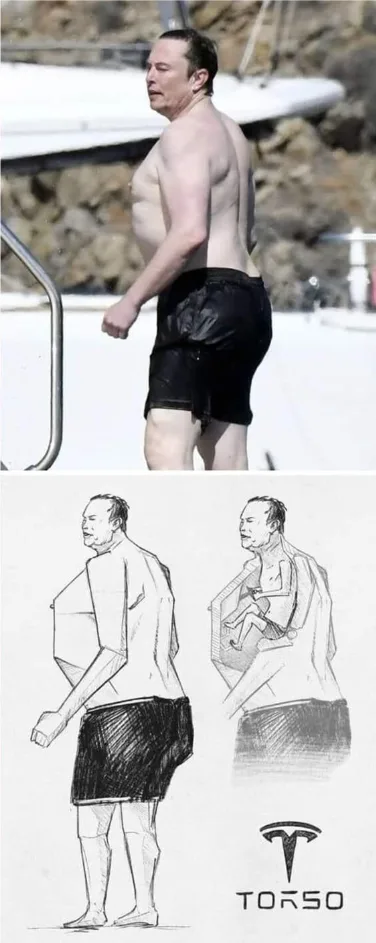 The image is split: top half shows Elon Musk shirtless on a boat, bottom half shows two crude sketches of a man in shorts…
