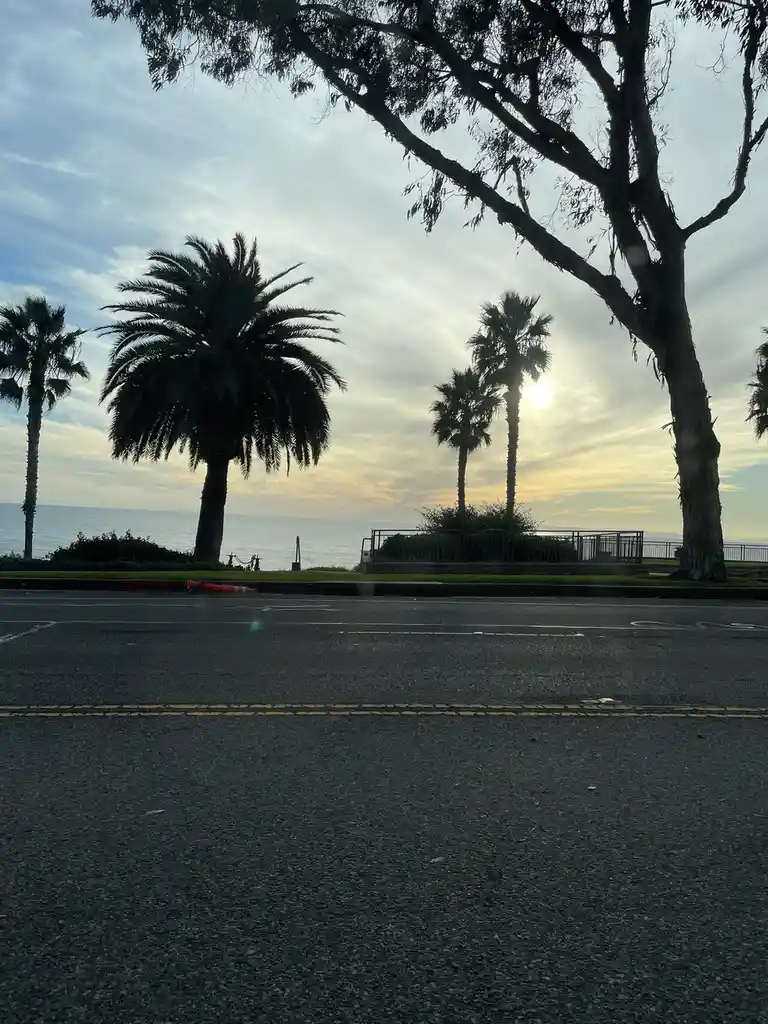 Embracing Gratitude in Everyday Life