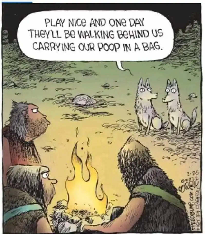 Three cavemen sit around a campfire, looking toward two wolves. A speech bubble above the wolves reads, 'PLAY NICE AND ONE…