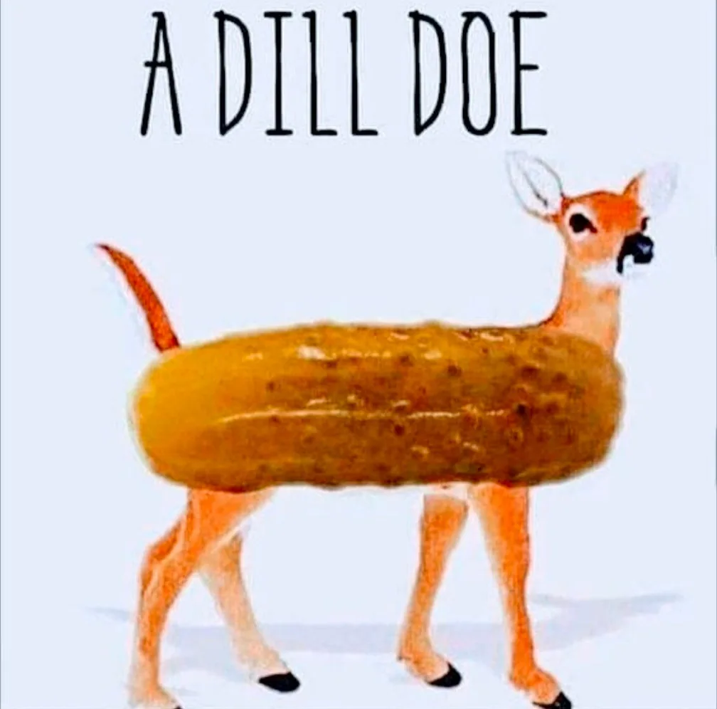 Happy Boxing Day! Enjoy This Humorous Collection with Dad Jokes and More!