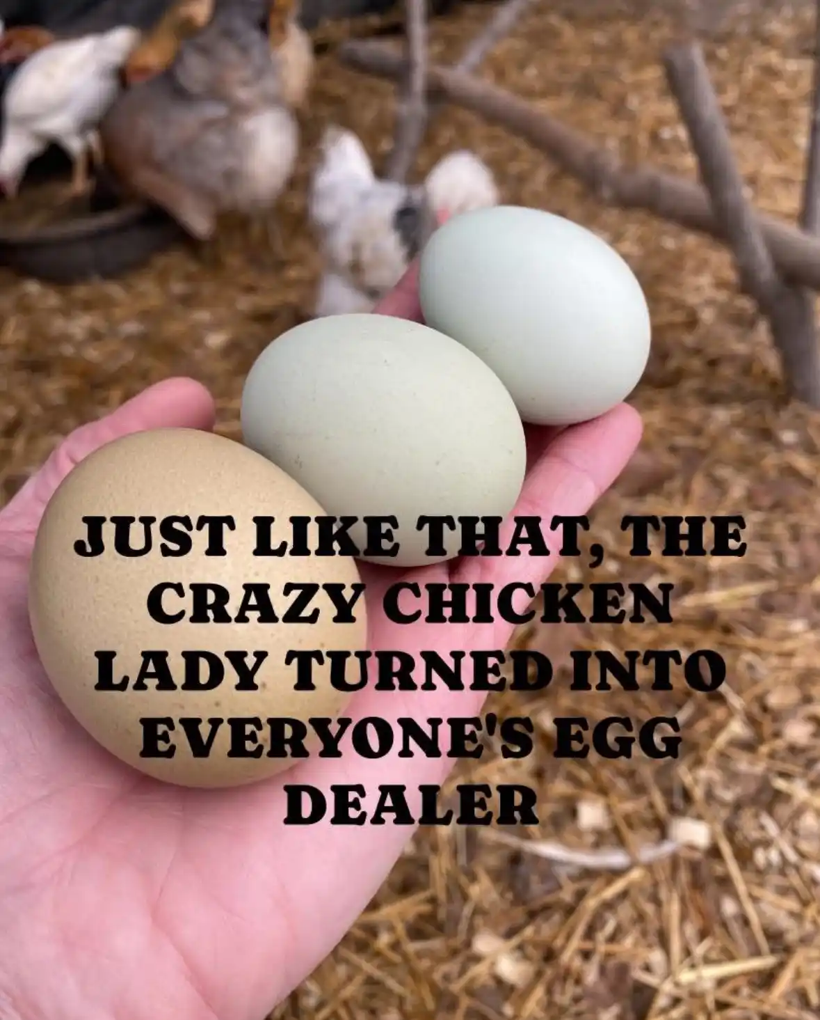 A hand holds three eggs of different colors — brown, light green, and pale blue — in front of a blurred background of…