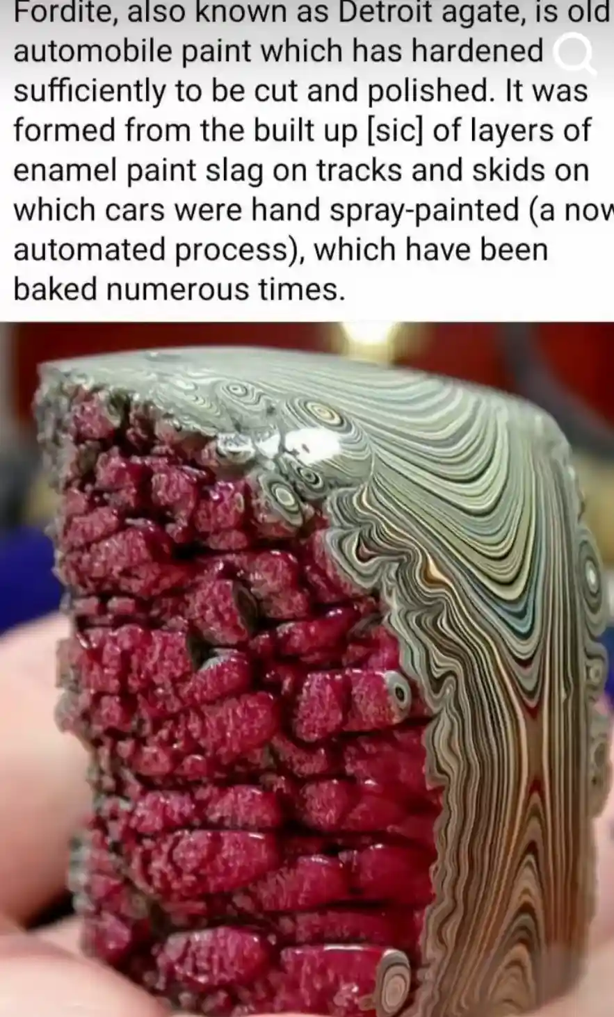 A close-up photo shows a hand holding a polished, cross-sectioned block of Fordite, revealing a striking contrast between a…