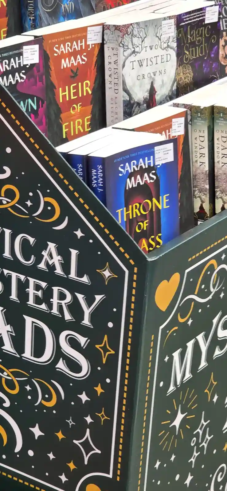 Spotted a Book That Instantly Captivated Me
