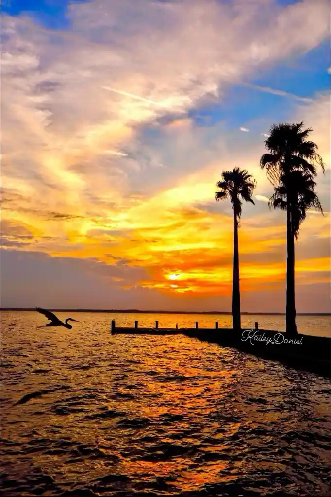 A serene sunset over water with two tall palm trees silhouetted against a vibrant orange and yellow sky, a bird in flight…