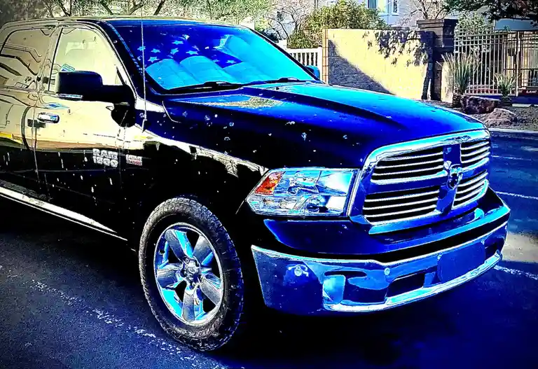 My neighbor's ram is a total mess, covered in bird droppings. Hilarious!
