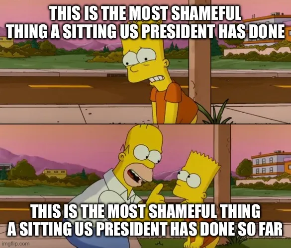 The image is a two-panel meme featuring Bart Simpson in the top panel looking smugly at the camera with text saying 'THIS IS…