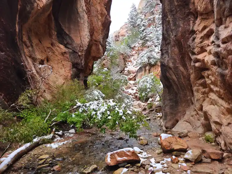 A scenic canyon with reddish-brown rock walls, a shallow stream flowing over rocks, and green bushes and trees lightly…