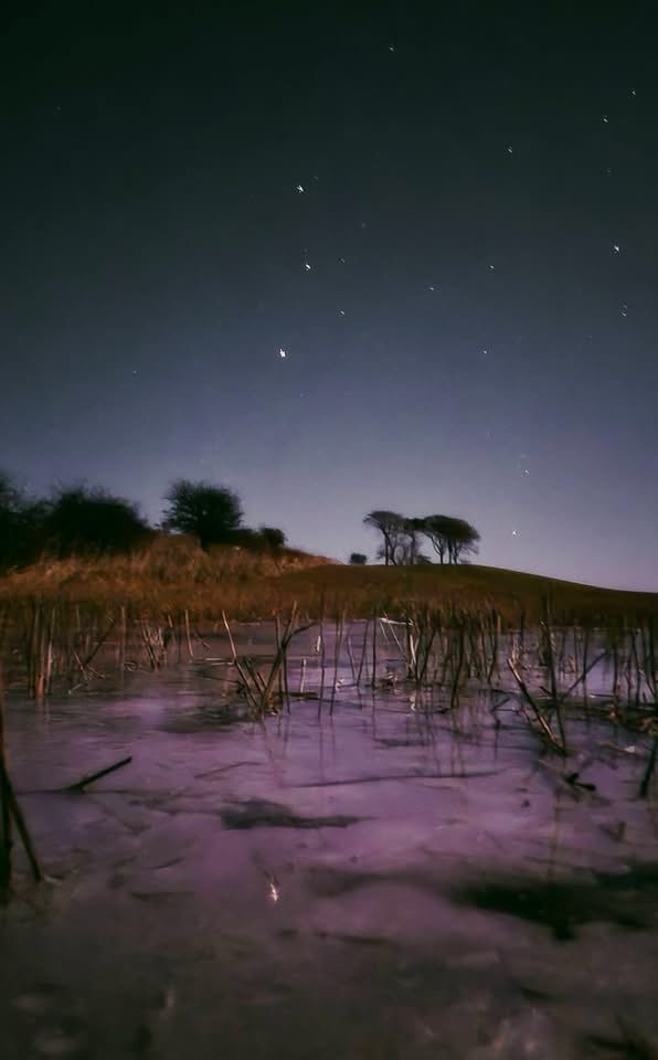 A serene night scene showing a frozen body of water with reeds sticking out, under a starry sky with a gradient from dark…