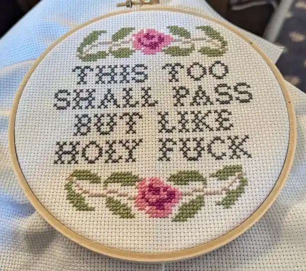 A close-up of a cross-stitch embroidery in a wooden hoop, featuring the text 'THIS TOO SHALL PASS BUT LIKE HOLY FUCK'…