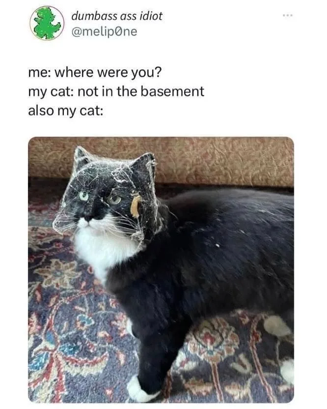 No thanks, but I appreciate it!