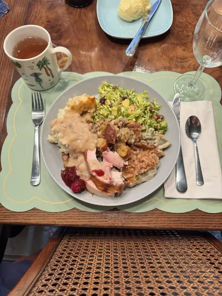 A plate of Thanksgiving-style food including turkey, stuffing, mashed potatoes with gravy, cranberry sauce, and a side…