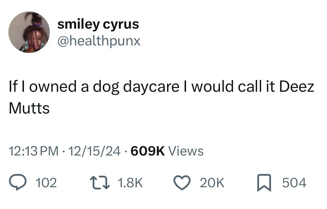 A screenshot of a tweet from user 'smiley cyrus' (@healthpunx) showing a humorous suggestion that a dog daycare would be…