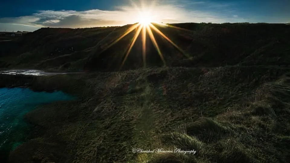 Radiant Sunbeams: Nature's Warm Embrace