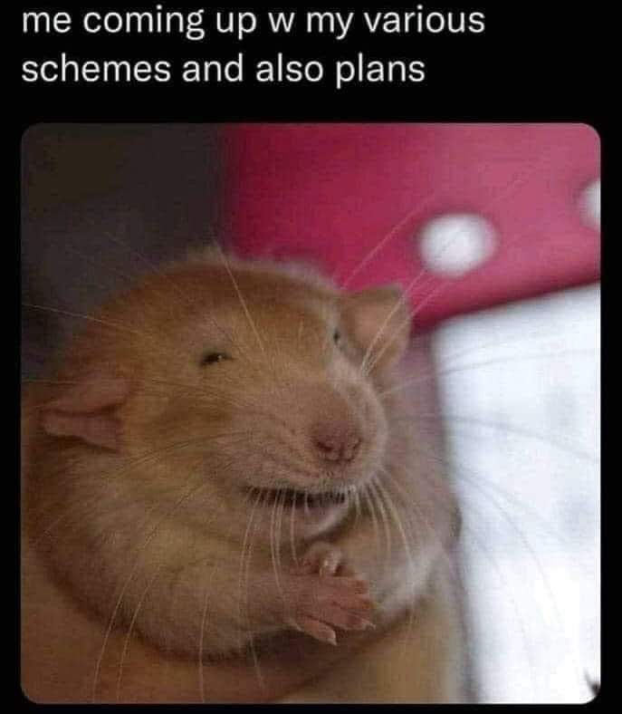 A close-up photo of a light brown rat with a smug, self-satisfied expression, its mouth slightly open and front paws held…