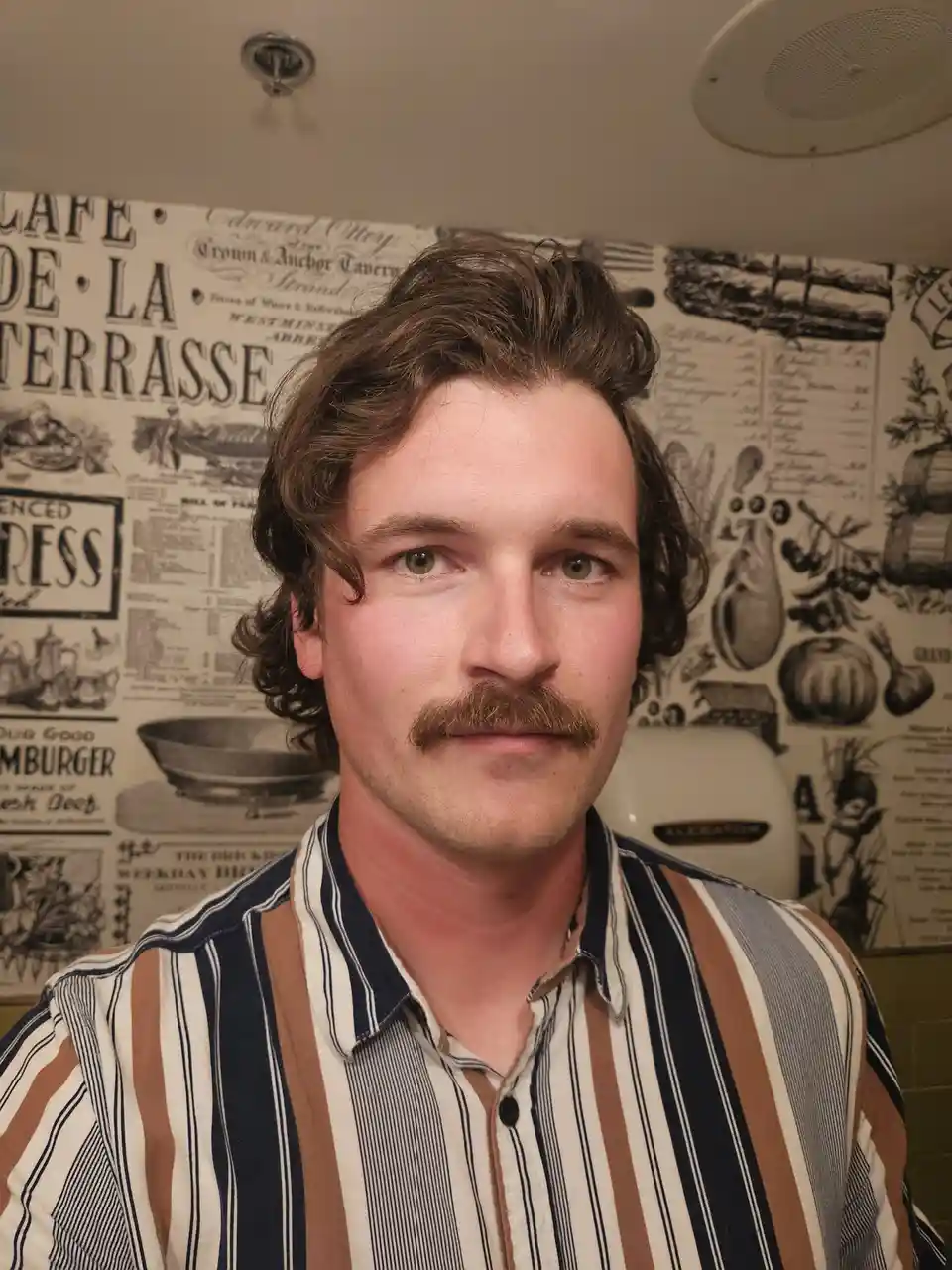 A man with a mustache and wavy brown hair stares directly at the camera, wearing a vertically striped shirt with brown…
