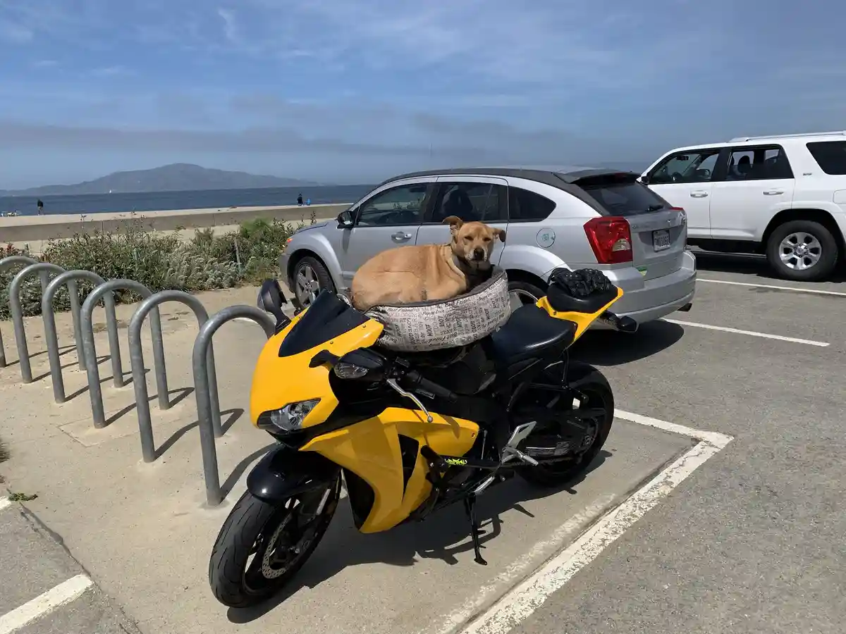 PJ taking a ride on the Fireblade!
