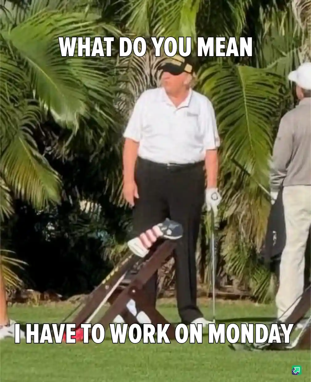 A man in a white polo shirt and black pants stands on a golf course with palm trees in the background, looking annoyed while…