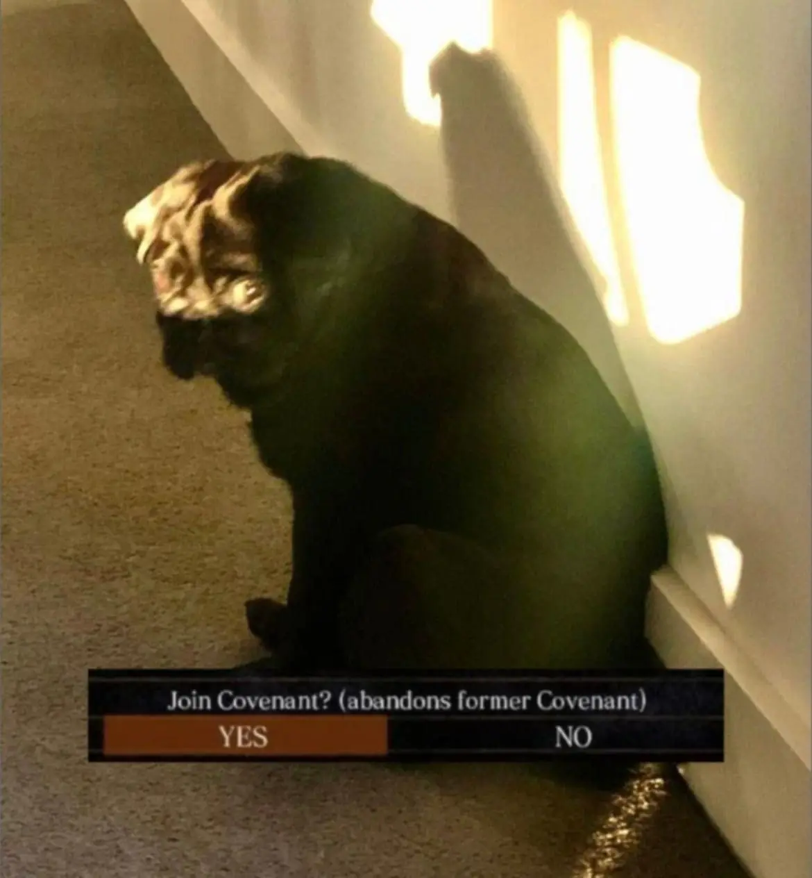 A pug dog sits in a dimly lit corner, looking sad and dejected, with a video game-style dialogue box overlaid at the bottom…