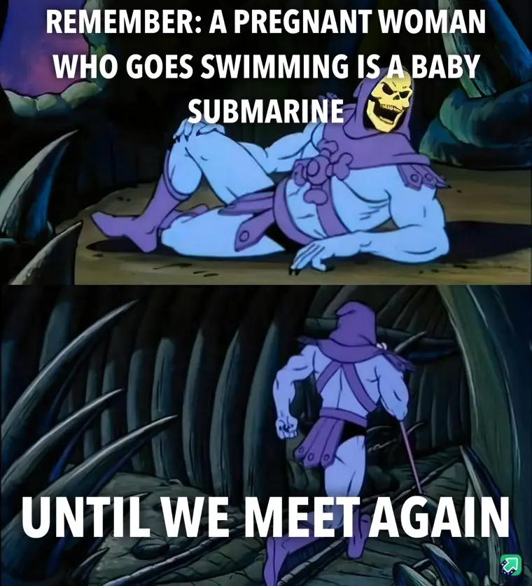 The image is a two-panel meme featuring the animated character Skeletor from 'He-Man and the Masters of the Universe'. In…