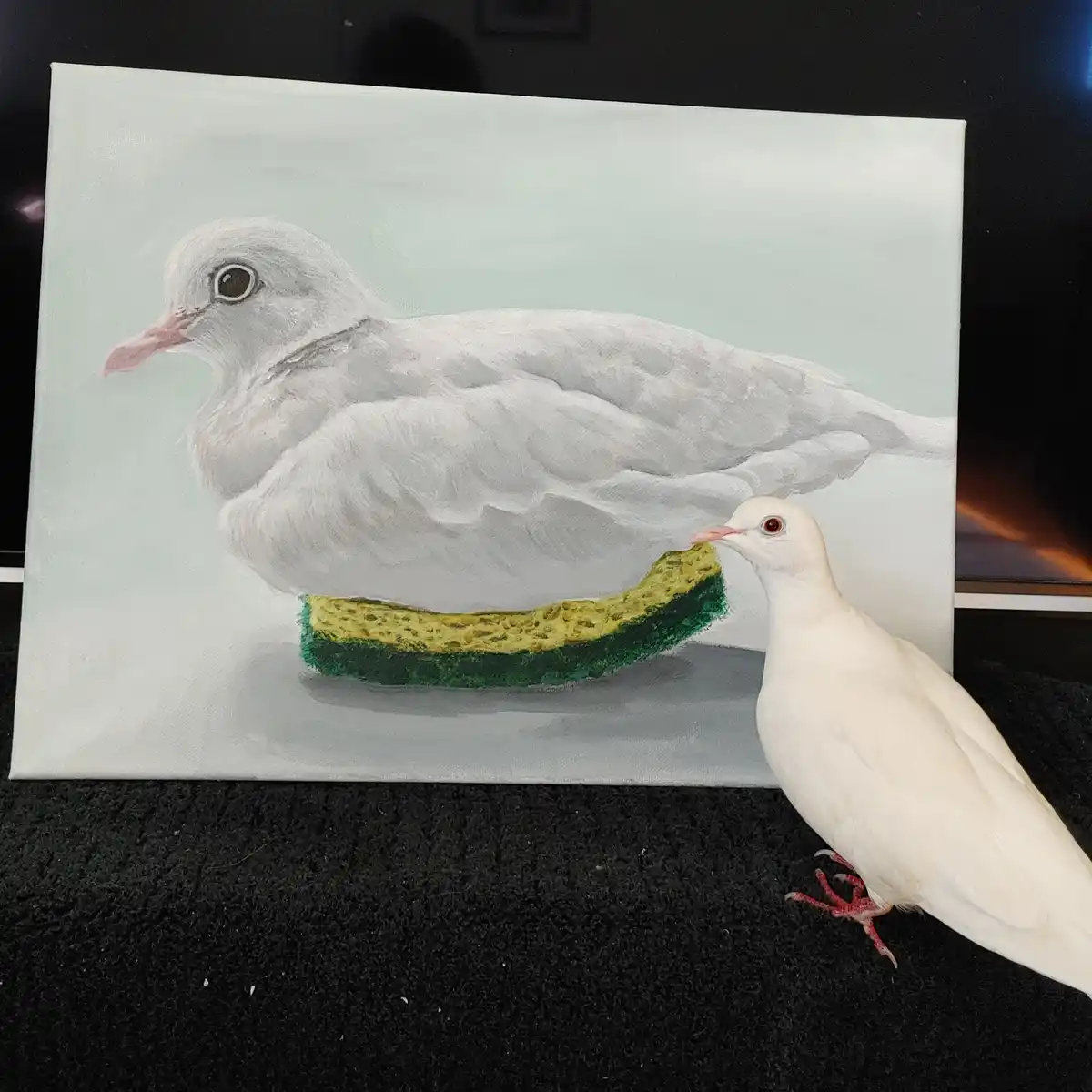 A real white dove stands on a dark surface next to a canvas painting of a white dove holding a green and yellow sponge. The…