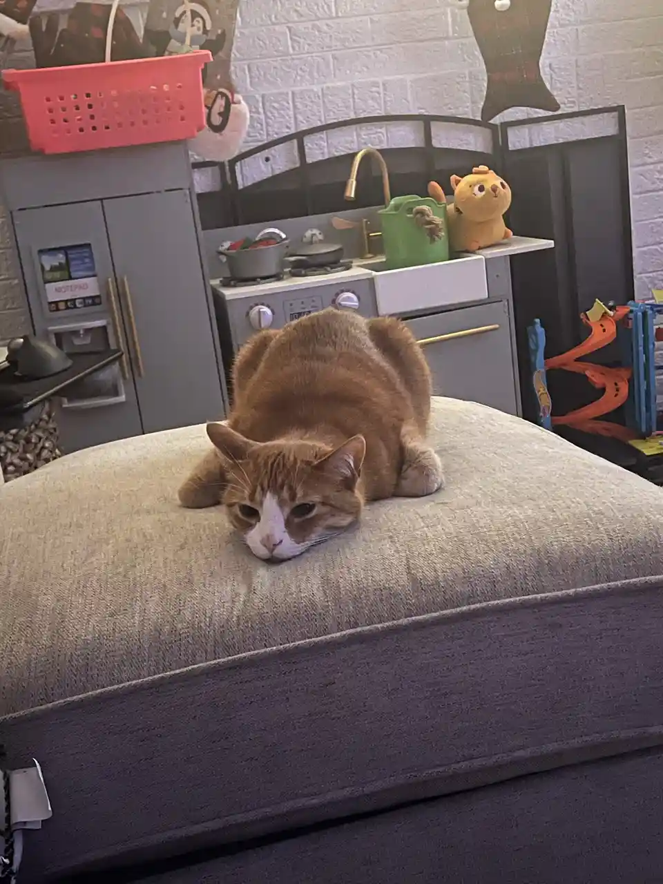 An orange and white cat is lying on a gray cushion, looking tired or uninterested. Behind it is a child's play kitchen set…