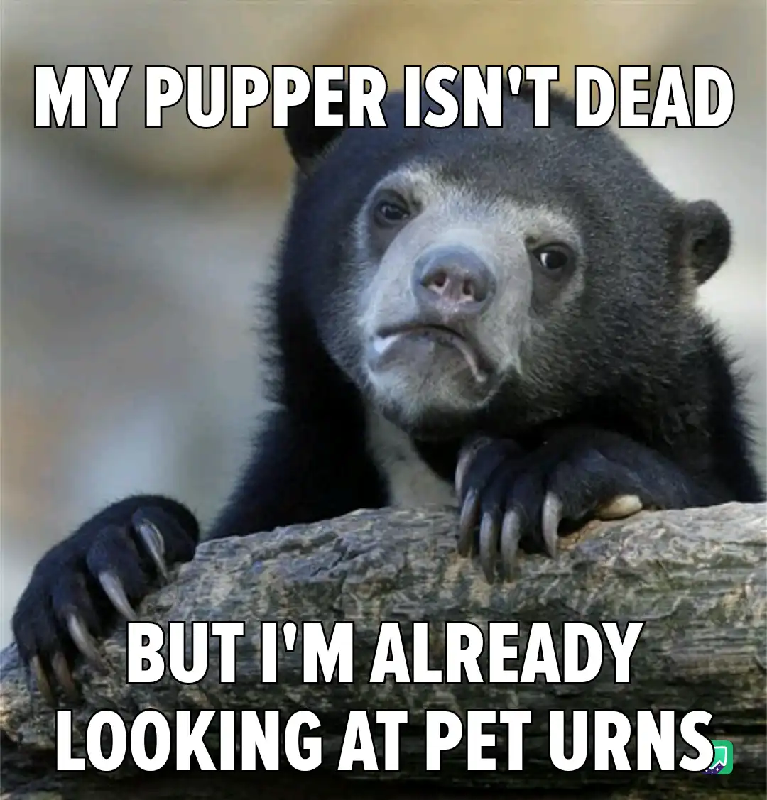 A close-up photo of a sad-looking sun bear resting its paws on a log, with large white text overlaid that reads 'MY PUPPER…
