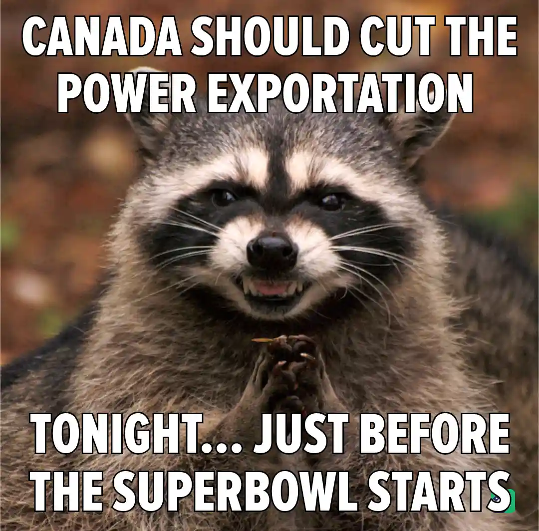 A close-up photo of a raccoon with a smug, self-satisfied expression, its paws clasped together as if making a request. The…