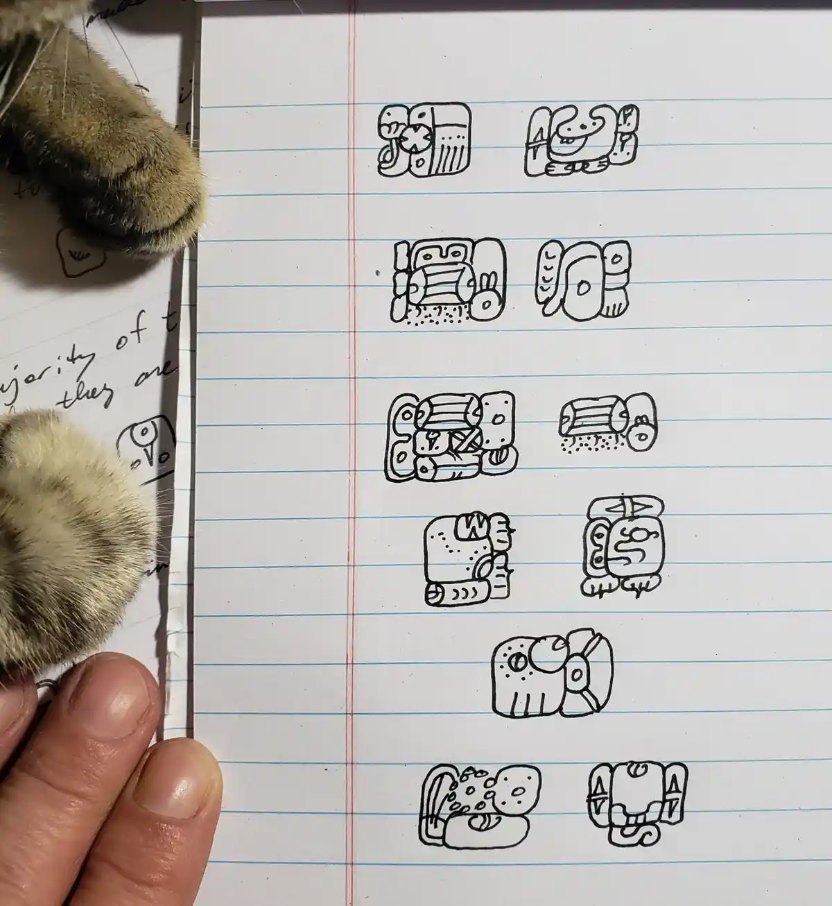 A close-up photo shows a person's hand holding a lined notebook page with ten hand-drawn, stylized Mayan glyphs arranged in…