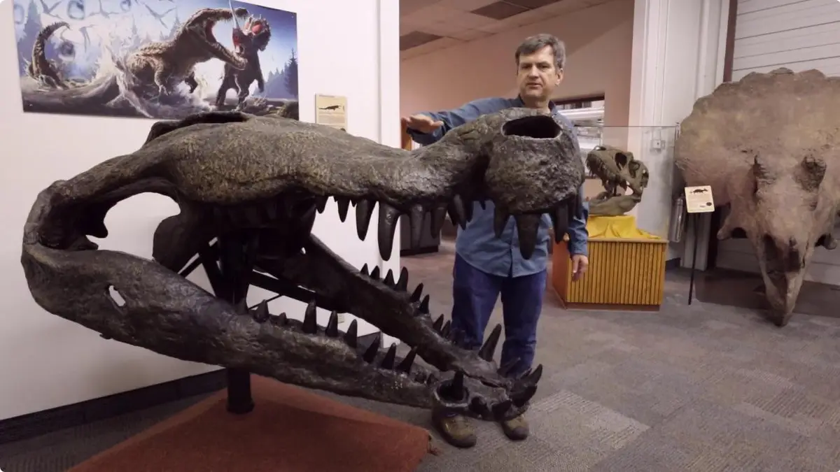 A man in a blue shirt and jeans stands beside a large, mounted fossilized dinosaur skull with sharp teeth and a prominent…