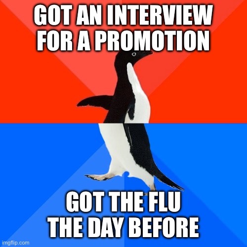 A penguin stands in the center of the image, split by a red and blue background. The top text reads 'GOT AN INTERVIEW FOR A…