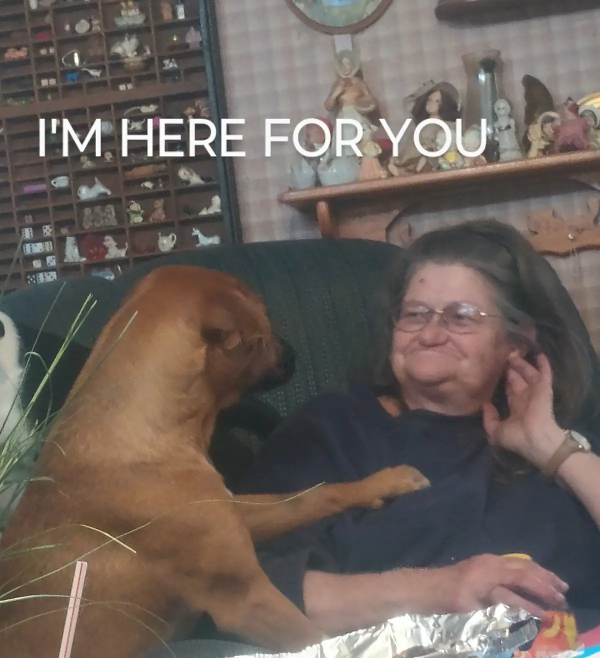A brown dog sits beside an older woman on a green couch, with the text 'I'M HERE FOR YOU' overlaid. The woman, wearing…