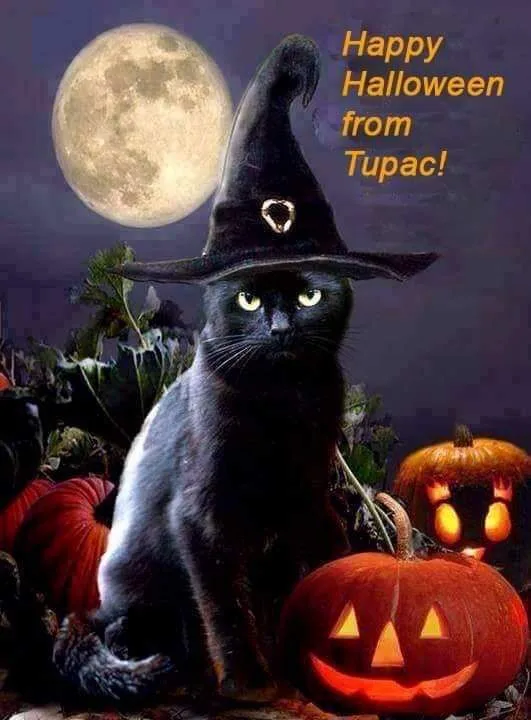 A black cat wearing a witch's hat sits among carved pumpkins under a full moon. Text in the upper right corner reads 'Happy…