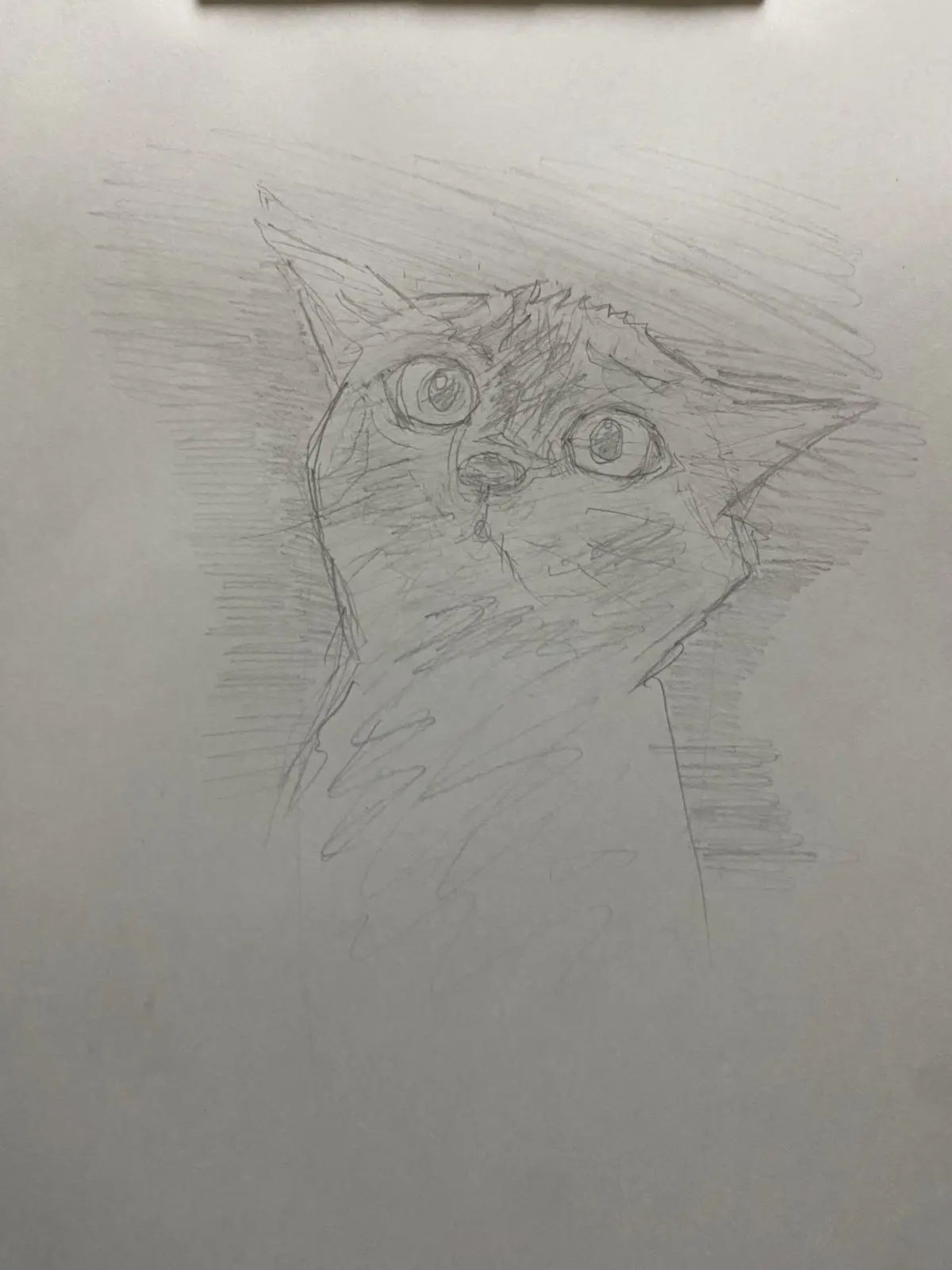 Sketch 1105: A Creative Exploration